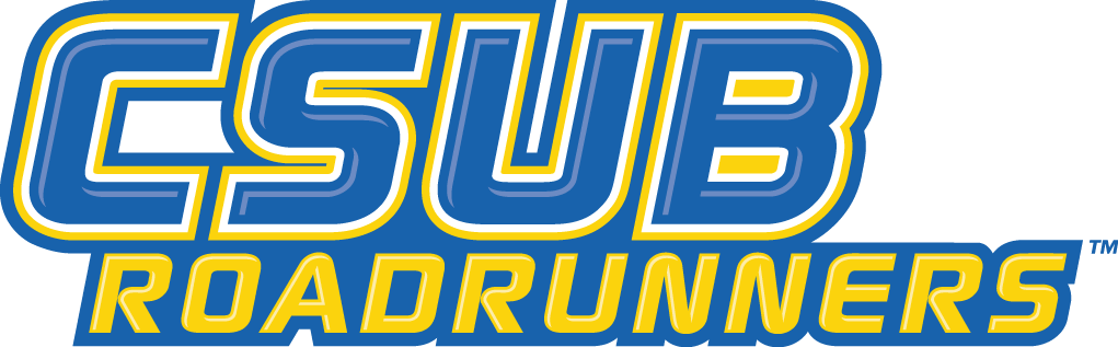 CSU Bakersfield Roadrunners 2006-Pres Wordmark Logo v3 diy DTF decal sticker